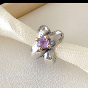 Retired Pandora charm